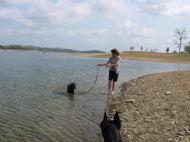 The Lake